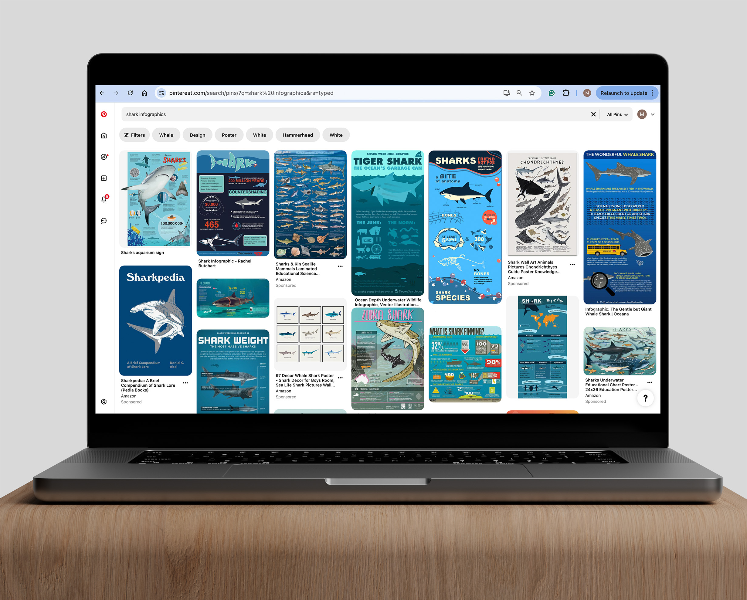 Shark Infographic prototype mockup in Pinterest's search results for "shark infographics"