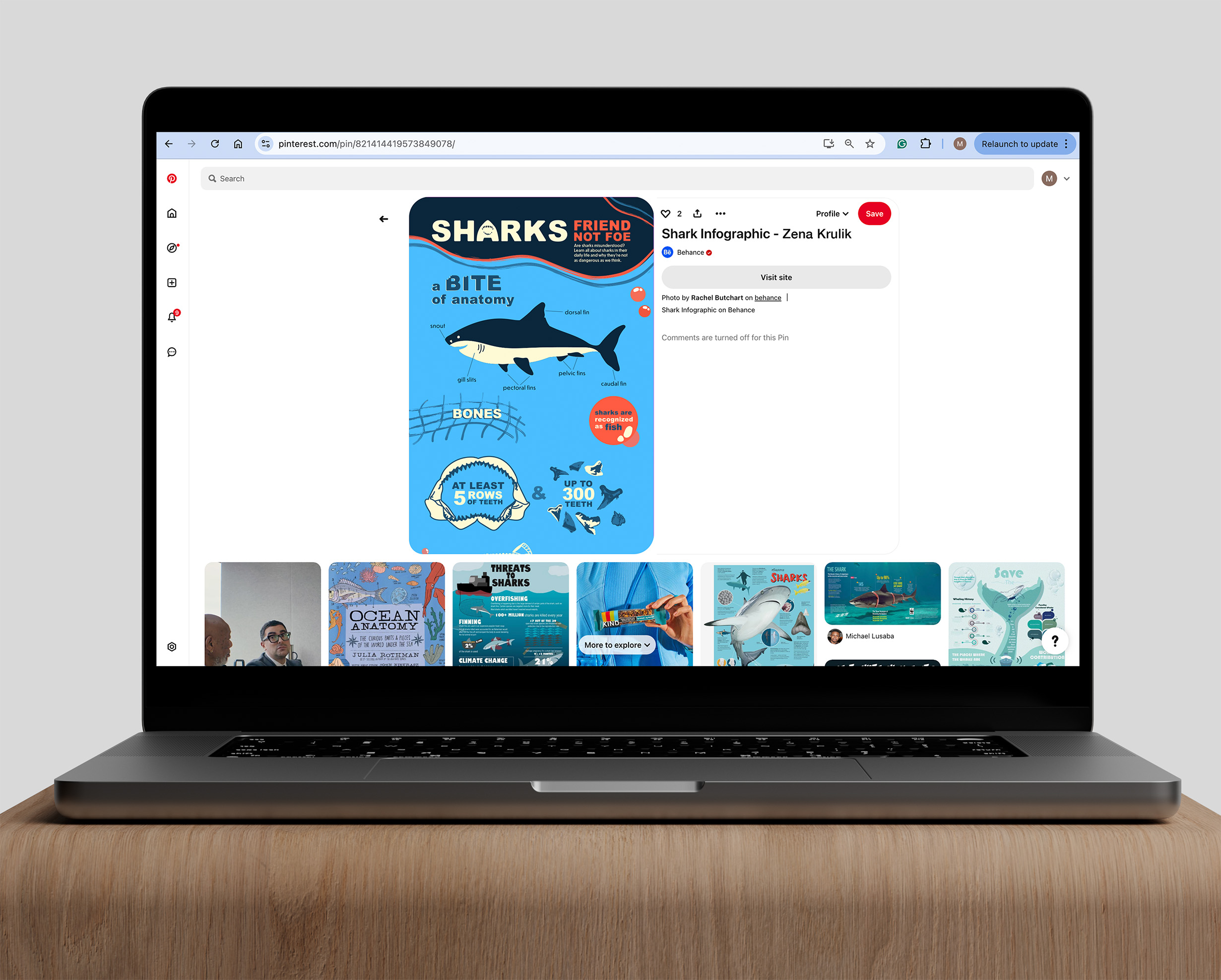 Shark Infographic prototype mockup as a Pinterest post/project. Click to view project.
