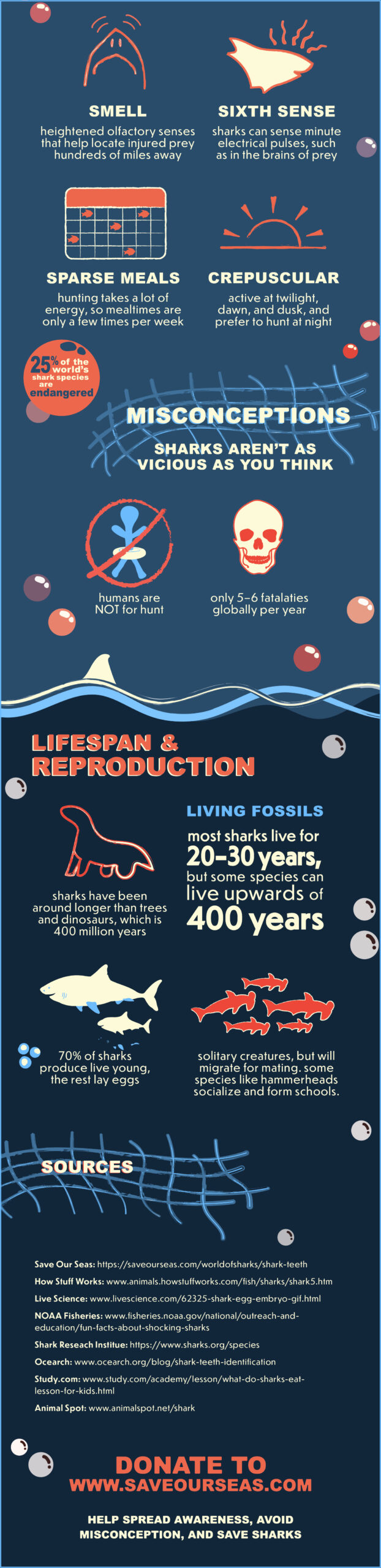 Final Version of shark infographic, bottom half